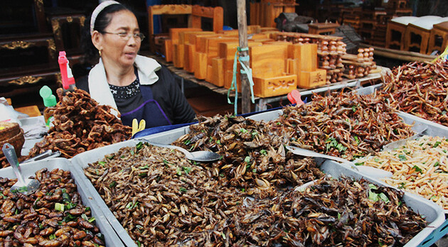 Поїдання комах може допомогти людству вижити