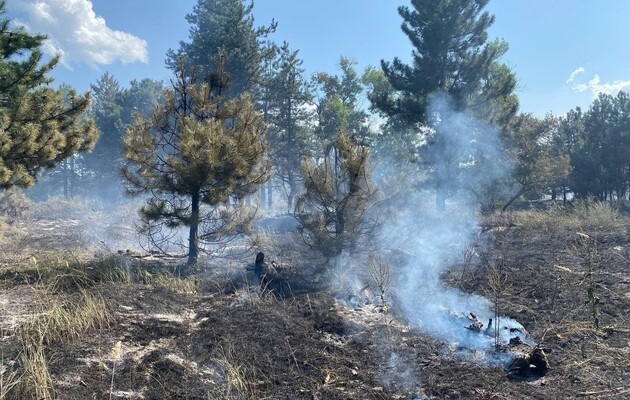 Войска РФ уничтожили более 17 тысяч гектаров леса в Луганской области, сумма ущерба окружающей среде достигла 38,3 млрд грн