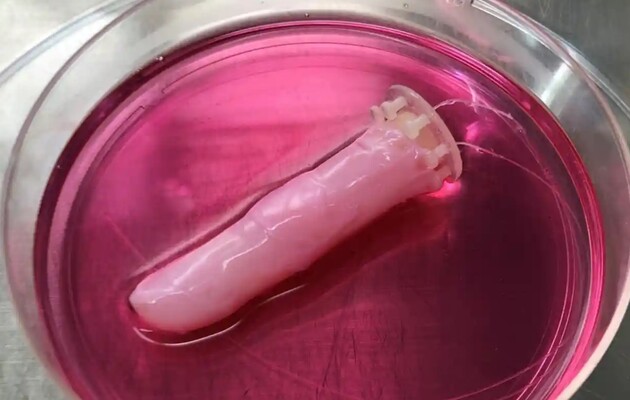 Вчені покрили робопалець "живою" шкірою