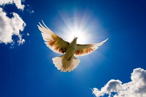 День Святого Духа: що не можна робити у свято