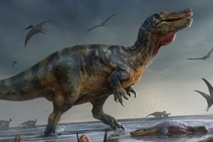 Палеонтологи виявили останки найбільшого хижака в Європі
