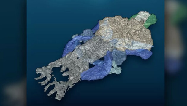 Древний "угорь" может быть одним из первых предков человека