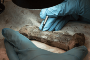 Археологи «зібрали по шматочках» рідкісний меч вікінгів
