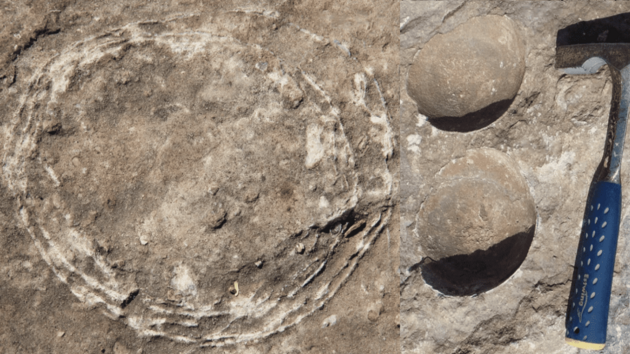 Палеонтологи знайшли яйце динозавра всередині іншого яйця
