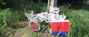 ПАРЄ назвала Росію відповідальною за катастрофу рейсу MH17