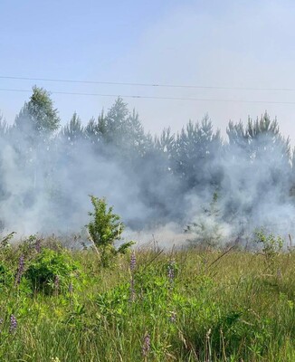 Війська РФ зранку обстріляли Сумську область з мінометів, 24 вибухи — голова ОВА