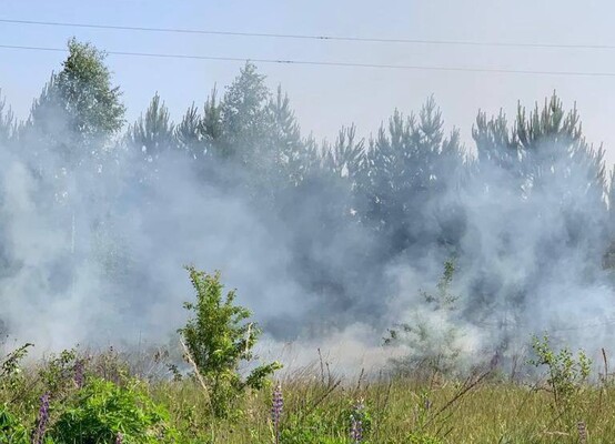 Фото ілюстративне