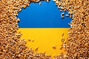Россия занялась кражей в Украине зерна уже нового урожая, российские гауляйтеры блефуют наличием 