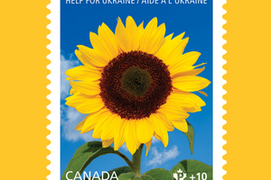 Canada Post выпустила благотворительную марку с изображением подсолнуха в поддержку Украины 