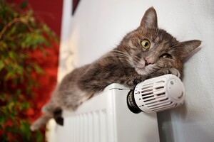 Минэнерго: минимальную температуру в жилых помещениях зимой, вероятно, придется снизить