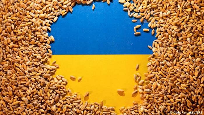 Переговоры по возобновлению экспорта украинского зерна продолжатся на следующей неделе