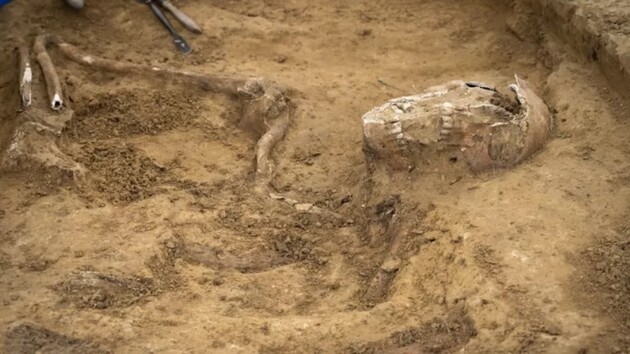 Археологи знайшли в Бельгії скелети солдатів, які загинули в битві при Ватерлоо