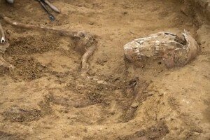 Археологи нашли в Бельгии скелеты солдат, погибших в битве при Ватерлоо