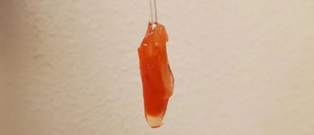 Модель сердца вырастили из клеток крысы