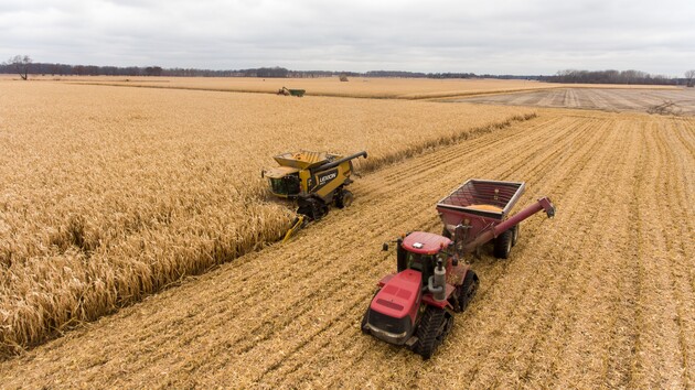 Окупанти вкрали у фермерів Луганщини 70 тис. тонн зерна