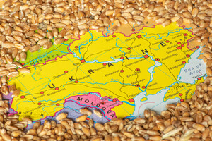 Перші дані збору зернових від одного з агрохолдингів України: порівняння з попередніми роками невтішне