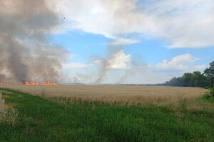 Війська РФ за добу знищили більше 200 гектарів врожаю на Херсонщині 