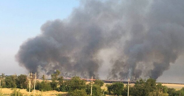 В Мариуполе партизаны подожгли поля с зерном, чтобы его не украли войска РФ