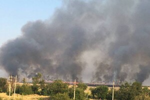 В Мариуполе партизаны подожгли поля с зерном, чтобы его не украли войска РФ