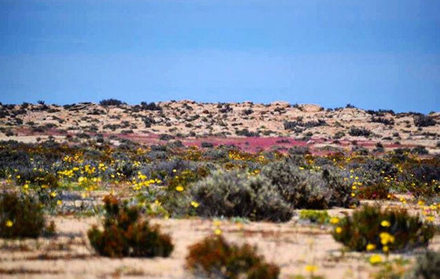 У пустелі Атакама з'явилася загадкова вирва
