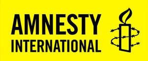 В ОП та МЗС відреагували на заяву Amnesty International про те, що ЗСУ наражають на небезпеку цивільне населення