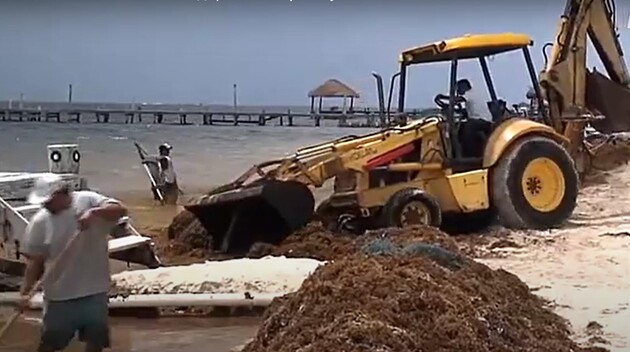 Экологичесткое бедствие: Атлантический океан покрыли миллионы тонн разлагающегося саргассума