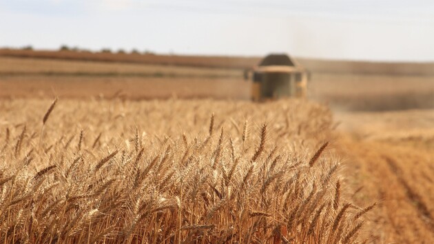 Украденное россиянами зерно из Украины транспортируют 87 судов — посол Украины в Ливане