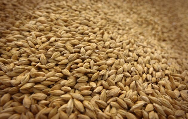В ООН готуються до «значного зростання» експорту українського зерна