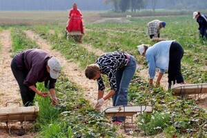 У Польщі найнижче безробіття за останні 32 роки: скільки українських біженців працевлаштували