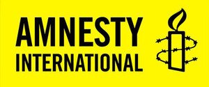 В Amnesty International отрицают сбор информации для отчета в оккупации и фильтрационных лагерях