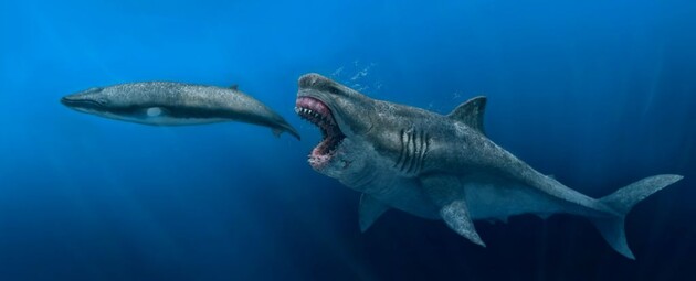 Ученые рассказали о размерах древних гигантских акул