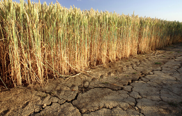 Китай збирається штучно викликати дощі, щоб захистити врожай від посухи