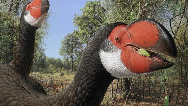 Вчені розповіли, чому вимерли найбільші птахи на Землі