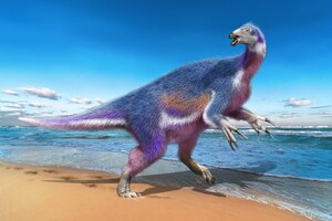 У США виявили одну з найдовших «стежок» динозаврів