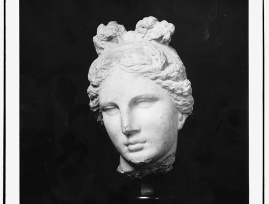 Глава Афродиты/фото иллюстративный