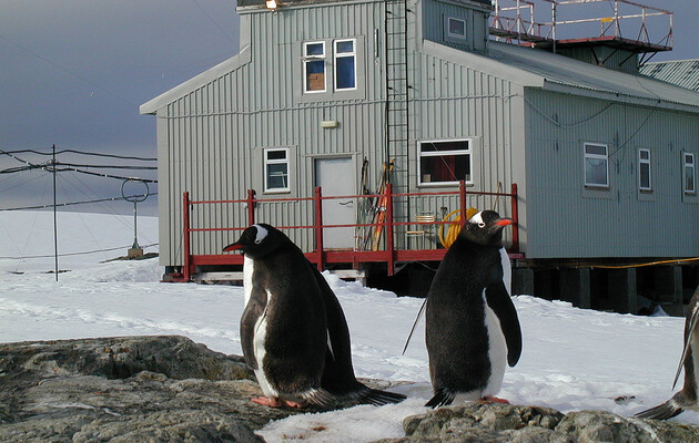 Антарктичні експедиції не вільні від сексуальних домагань – дослідження США