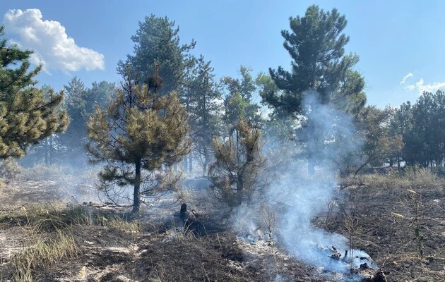 Фото иллюстративное