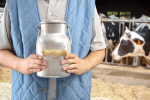 В Украине уменьшаются объемы производства молока