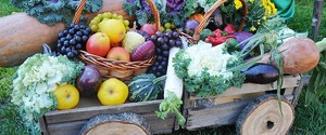 Цены в Украине: какие продукты подорожают к концу года