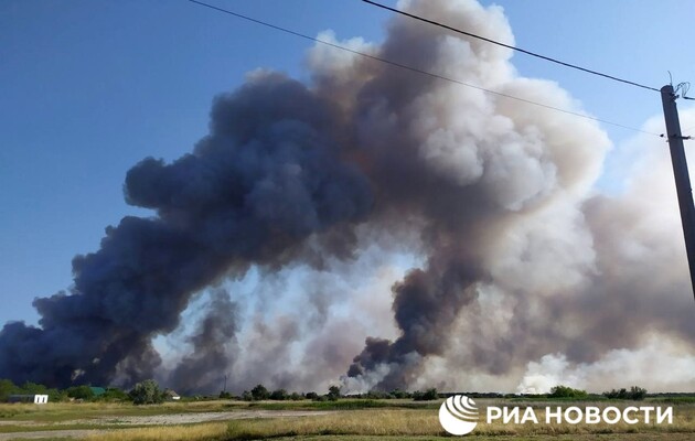 Из-за обстрелов на Николаевщине сгорели 11 тысяч гектаров уникального заповедного леса