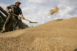ООН хочет продлить зерновое соглашение еще на год и разблокировать экспорт российского аммиака - Reuters