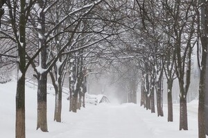 Снег в ноябре и морозы до -25: синоптик рассказал, чего ждать в конце года