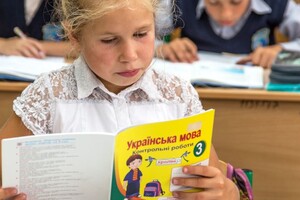 Бердянських школярів схиляють до відмови від вивчення української мови і літератури – Федоров