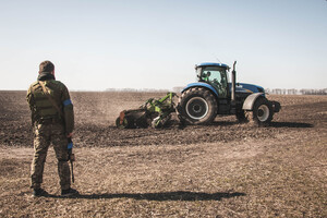 Самые надежные инвестиции в Украине: несмотря на войну, сельхозземли дорожают 