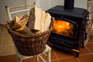 Бесплатная топливная древесина: жители первой области начали получать дрова 