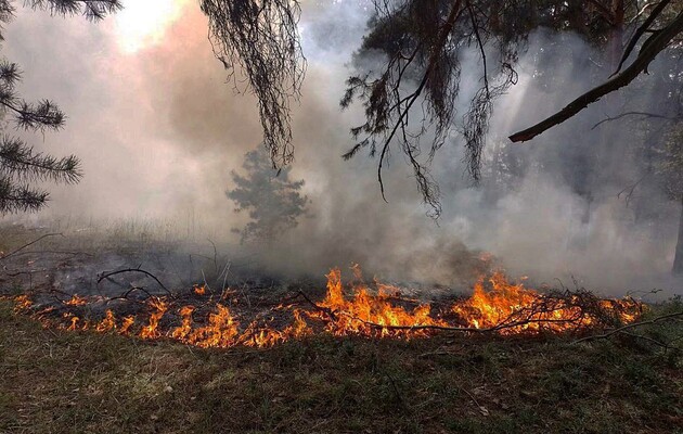 Росія завдає нищівних збитків українській екології