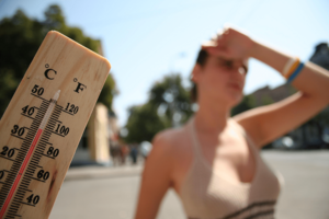 В 2022 году от аномальной жары в Европе погибли по меньшей мере 15 тысяч человек – ВОЗ