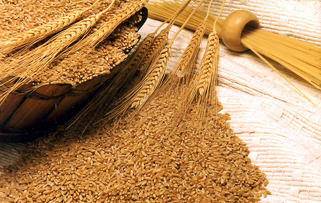 Німеччина готова розвивати сухопутні маршрути для експорту українського зерна