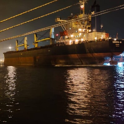 П'ять кораблів доправлять українське продовольство до Китаю, Південної Кореї, Єгипту та Бельгії