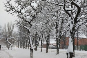 Тепліше та менше снігу: європейські синоптики розповіли, якою буде зима